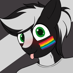 Size: 3000x3000 | Tagged: safe, artist:galacticham, oc, oc only, oc:zenawa skunkpony, earth pony, skunk, skunk pony, anthro, :p, abstract background, blushing, celebrating, clothes, gay pride, gay pride flag, happy, high res, lgbtq, looking at you, male, pride, pride flag, pride month, rainbow flag, shirt, smiling, solo, stallion, t-shirt, tongue out