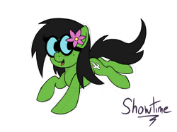 Size: 2732x2048 | Tagged: safe, artist:captshowtime, oc, oc only, oc:prickly pears, pony, accessory, commission, cute, digital, digital sketch, flower, glasses, high res, ponysona, rule 63, simple background, sketch, solo, spectacles