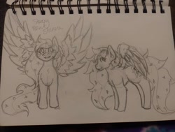 Size: 1080x817 | Tagged: safe, artist:cosmickitty.draws, oc, oc only, pegasus, pony, duo, ethereal mane, lineart, pegasus oc, smiling, spread wings, starry mane, traditional art, wings