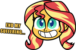 Size: 1024x672 | Tagged: safe, artist:kingdark0001, sunset shimmer, equestria girls, g4, g4.5, my little pony: pony life, disembodied head, end my suffering, female, floating head, g4.5 to equestria girls, simple background, smiling, solo, text, white background