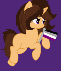 Size: 1460x1707 | Tagged: safe, artist:circuspaparazzi5678, oc, oc only, oc:caramel delite, pony, unicorn, asexual, asexual pride flag, base used, pride, pride flag, pride month, smiling, solo