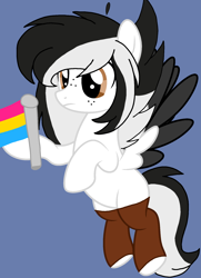 Size: 1376x1904 | Tagged: safe, artist:circuspaparazzi5678, oc, oc only, oc:double stuffed oreo, pegasus, pony, base used, clothes, freckles, pansexual, pansexual pride flag, pride, pride flag, pride month, socks, solo