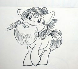 Size: 900x803 | Tagged: safe, artist:kovoranu, apple bloom, earth pony, pony, g4, apple, female, filly, foal, food, ink drawing, mouth hold, solo, traditional art
