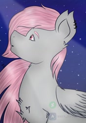 Size: 1400x1988 | Tagged: safe, artist:zerotwo1312, oc, oc only, oc:valentin hundress, pegasus, pony, chest fluff, ear piercing, earring, female, jewelry, looking up, mare, night, pegasus oc, piercing, solo, stars, translation request, watermark, wings