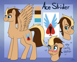 Size: 2500x2000 | Tagged: safe, artist:lionbun, oc, oc:ace strider, pegasus, pony, commission, high res, reference sheet