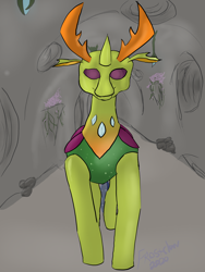 Size: 3000x4000 | Tagged: safe, artist:frostclaw, thorax, changedling, changeling, pony, g4, atg 2020, king thorax, male, newbie artist training grounds, solo, standing