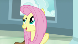 Size: 1920x1080 | Tagged: safe, screencap, fluttershy, pegasus, pony, daring doubt, g4, female, solo
