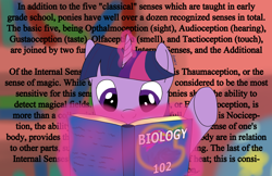 Size: 1796x1164 | Tagged: safe, artist:dzamie, twilight sparkle, pony, g4, biology, book, female, magic, mare, newbie artist training grounds, semantics, solo, textbook