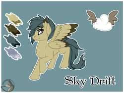 Size: 1200x900 | Tagged: safe, artist:isuna, oc, oc only, oc:sky drift, pegasus, pony, cutie mark, digital art, male, reference sheet, solo, spread wings, stallion, tail, wings