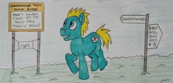 Size: 1224x591 | Tagged: safe, artist:rapidsnap, oc, oc only, oc:compass star, earth pony, pony, earth pony oc, natg2020, newbie artist training grounds, sign, solo, traditional art