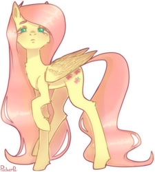 Size: 630x700 | Tagged: safe, artist:pecherpa, fluttershy, pegasus, pony, g4, chest fluff, elbow fluff, female, folded wings, front view, full face view, hoof fluff, lanky, leg fluff, long legs, looking at you, mare, raised hoof, simple background, skinny, solo, standing, thin, white background, wings