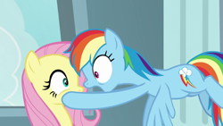 Size: 1920x1080 | Tagged: safe, screencap, fluttershy, rainbow dash, pegasus, pony, daring doubt, g4, flying, looking at each other