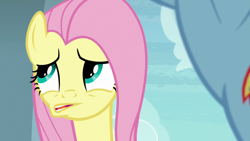 Size: 1920x1080 | Tagged: safe, screencap, fluttershy, rainbow dash, pegasus, pony, daring doubt, g4, confused, doubt, faic, unsure