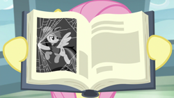 Size: 1920x1080 | Tagged: safe, screencap, daring do, fluttershy, pegasus, pony, daring doubt, g4, book, holding, spider web