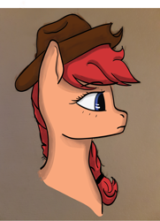 Size: 3990x5519 | Tagged: safe, artist:redcap, oc, oc only, oc:pascal, pony, braid, bust, cowboy hat, digital painting, female, hat, mare, solo, stetson