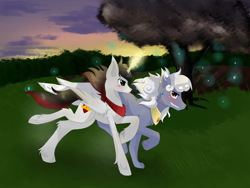 Size: 4000x3000 | Tagged: safe, artist:tomat-in-cup, oc, oc only, alicorn, pony, wolf, alicorn oc, duo, glowing horn, horn, outdoors, paw pads, paws, peytral, running, smiling, tree, twilight (astronomy), underpaw, wings