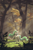 Size: 800x1200 | Tagged: safe, artist:assasinmonkey, princess celestia, alicorn, pony, g4, crepuscular rays, digital art, digital painting, female, forest, mare, scenery, smiling, solo, tree