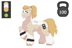 Size: 1280x854 | Tagged: safe, artist:itstechtock, oc, oc only, oc:kettlebell, earth pony, pony, female, mare, offspring, parent:bulk biceps, parent:limestone pie, parents:limebulk, reference sheet, simple background, solo, unshorn fetlocks, white background