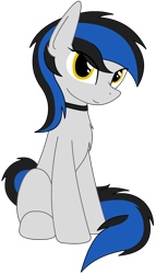 Size: 918x1604 | Tagged: safe, artist:rivet97, oc, oc only, oc:zima svechkar, earth pony, pony, chest fluff, female, mare, simple background, sitting, solo, transparent background