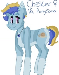 Size: 1066x1346 | Tagged: safe, artist:enusgabor, oc, oc only, oc:chester, pegasus, pony, coat markings, female, jewelry, mare, necklace, pegasus oc, simple background, smiling, socks (coat markings), solo, white background, wings