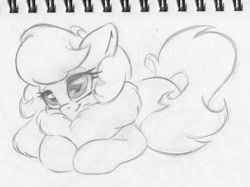 Size: 2007x1505 | Tagged: safe, artist:zemer, oc, oc only, oc:feather belle, pegasus, pony, adorable face, chest fluff, cute, female, fluffy, lidded eyes, mare, monochrome, pencil drawing, prone, solo, traditional art