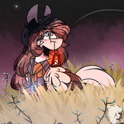 Size: 2000x2000 | Tagged: safe, artist:jxst-starly, oc, oc only, oc:yasy, pegasus, pony, candle, cheek fluff, clothes, grass, grassy field, high res, lantern, light, moon, night, night sky, ponimal, scarf, sky, solo