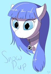 Size: 1450x2100 | Tagged: safe, artist:aelflonra, oc, oc only, oc:snow pup, pony, bust, collar, female, mare, portrait, solo