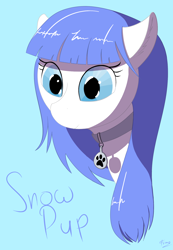 Size: 1450x2100 | Tagged: safe, alternate version, artist:aelflonra, oc, oc only, oc:snow pup, pony, bust, collar, female, mare, portrait, solo
