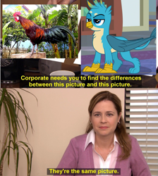 Size: 1363x1524 | Tagged: safe, artist:horsesplease, gallus, bird, chicken, human, g4, ayam ketawa, comparison, exploitable meme, gallus the rooster, gallusposting, irl, irl human, meme, pam beesly, photo, rooster, similarities, the office, they're the same picture