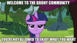 Size: 888x499 | Tagged: safe, edit, edited screencap, screencap, twilight sparkle, alicorn, pony, g4, the mean 6, brony stereotype, caption, drama, female, forest, image macro, meme, meta, op has a point, op is a duck, op is trying to start shit, solo, text, twilight sparkle (alicorn)