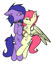 Size: 2048x2448 | Tagged: safe, artist:pegasko, oc, oc:eclipse flight, oc:grapie, earth pony, pegasus, pony, collar, earth pony oc, female, high res, lead, leash, looking at each other, male, mare, pegasus oc, shipping, simple background, smiling, stallion, transparent background, vector, wings