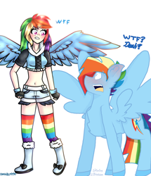 Size: 1392x1616 | Tagged: safe, artist:dashblitz90-fonnie, artist:shinningblossom12, rainbow dash, human, pegasus, pony, g4, blushing, boots, chest fluff, clothes, collaboration, duo, eyelashes, female, fingerless gloves, gloves, human ponidox, humanized, looking at each other, male, open mouth, rainbow blitz, rainbow socks, rule 63, self ponidox, shoes, shorts, simple background, socks, stallion, striped socks, surprised, white background, winged humanization, wings
