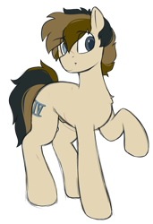 Size: 990x1450 | Tagged: safe, artist:crimmharmony, oc, oc only, oc:115, earth pony, pony, simple background, solo, transparent background
