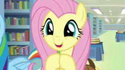 Size: 1280x720 | Tagged: safe, screencap, fluttershy, rainbow dash, pony, daring doubt, g4, cute, shyabetes