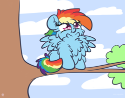Size: 3250x2560 | Tagged: safe, artist:php142, rainbow dash, pegasus, pony, g4, behaving like a bird, chest fluff, cute, dashabetes, female, fluffy, high res, impossibly large chest fluff, in a tree, looking up, mare, maximum floof, maximum overfloof, outdoors, peacocking, rainbird dash, solo, spread wings, tree, tree branch, wings
