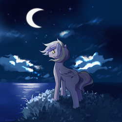 Size: 1920x1920 | Tagged: safe, artist:promiset, oc, oc only, oc:lavender whisper, pegasus, pony, crescent moon, eyelashes, femboy, freckles, girly, looking back, male, moon, night, night sky, overlooking, sky, stallion, water
