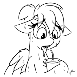 Size: 1750x1750 | Tagged: safe, artist:fakskis, rainbow dash, pegasus, pony, g4, 30 minute art challenge, chest fluff, cup, drool, female, floppy ears, headband, mare, monochrome, ponytail, sketch, solo, straw, sweat, tongue out, wings
