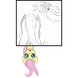 Size: 2000x2000 | Tagged: safe, artist:redquoz, discord, fluttershy, bird, bird pone, g4, 4th wall break, breaking the fourth wall, fangs, high res, long tail, looking at you, newbie artist training grounds, simple background, sketch, spirit of chaos, transparent background, upside down