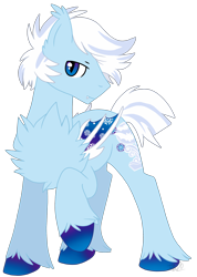Size: 1444x2023 | Tagged: safe, artist:revkahunt, oc, oc only, oc:froxen gale, bat pony, pony, male, simple background, solo, stallion, transparent background, unshorn fetlocks