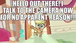 Size: 1920x1080 | Tagged: safe, edit, edited screencap, screencap, applejack, earth pony, pony, g4.5, my little pony: pony life, breaking the fourth wall, caption, cowboy hat, excessive exclamation marks, female, fourth wall, hat, image macro, looking at you, mare, talking to viewer, text, unshorn fetlocks