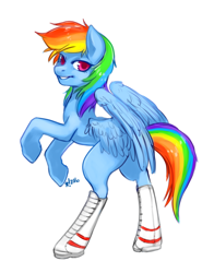 Size: 652x831 | Tagged: safe, artist:stardrawsponies, rainbow dash, pegasus, pony, g4, clothes, female, hoof shoes, looking at you, looking back, looking back at you, mare, rearing, shoes, simple background, smiling, solo, spread wings, white background, wings