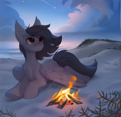 Size: 3094x3000 | Tagged: safe, artist:tomatocoup, oc, oc only, oc:santanna, pegasus, pony, turtle, beach, campfire, female, high res, looking up, lying down, mare, night, outdoors, pegasus oc, prone, sand, sea turtle, solo, wing blanket, wings