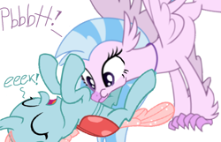 Size: 1080x696 | Tagged: safe, artist:princessdestiny200i, ocellus, silverstream, changeling, hippogriff, g4, adorable face, blowing, cuddly, cute, cuteling, cuteness overload, daaaaaaaaaaaw, diaocelles, diastreamies, eyes closed, female, hnnng, huggable, laughing, lesbian, raspberry, ship:ocellustream, shipping, simple background, speech, sweet dreams fuel, talking, tickle torture, tickling, tongue out, tummy buzz, weapons-grade cute, white background