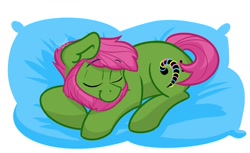 Size: 1572x961 | Tagged: safe, artist:cadetredshirt, oc, oc only, earth pony, pony, beard, commission, digital art, ear fluff, eyes closed, facial hair, green coat, male, pillow, pink hair, sleeping, sleepy, solo, stallion, ych example, ych result