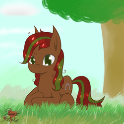 Size: 1000x1000 | Tagged: safe, artist:sweetstrokesstudios, oc, oc only, earth pony, pony, commission, female, mare, solo, tree