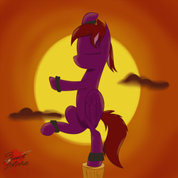 Size: 1000x1000 | Tagged: safe, artist:sweetstrokesstudios, oc, oc only, pegasus, pony, commission, movie reference, solo, sunset