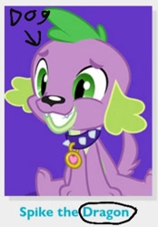 Size: 286x410 | Tagged: safe, spike, spike the regular dog, dog, equestria girls, g4, official, male, solo, wrong name