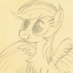 Size: 1047x1047 | Tagged: safe, artist:hotkinkajou, rainbow dash, pegasus, pony, g4, behaving like a bird, chest fluff, ear fluff, female, mating dance, monochrome, pencil drawing, rainbird dash, scrunchy face, simple background, solo, spread wings, traditional art, wings