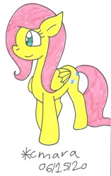 Size: 645x1026 | Tagged: safe, artist:cmara, fluttershy, pegasus, pony, g4, cute, female, mare, shyabetes, solo, traditional art