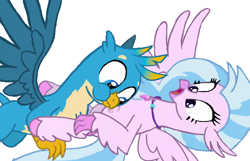 Size: 1080x696 | Tagged: safe, artist:princessdestiny200i, gallus, silverstream, griffon, hippogriff, g4, blowing, cute, diastreamies, female, gallabetes, laughing, looking down, lying down, male, on back, raspberry, ship:gallstream, shipping, straight, surprised, tickling, tongue out, tummy buzz